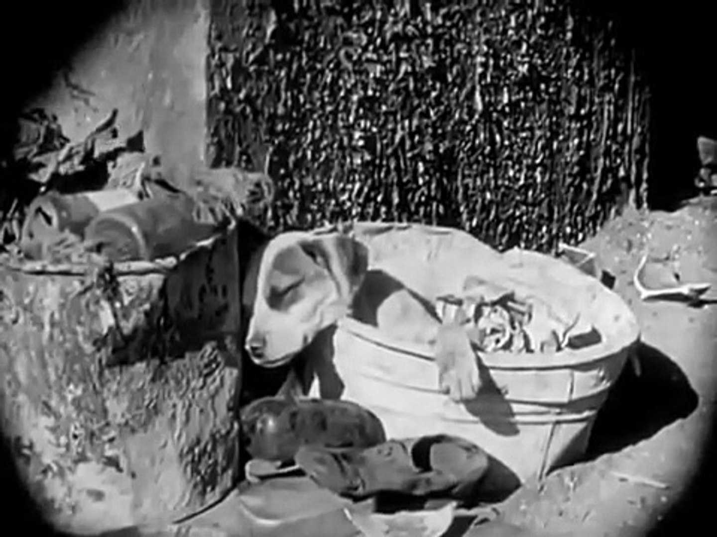 Vida de perros 1918 - Charles Chaplin (Película completa) - Subtitulado en  español - video Dailymotion