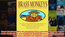 Brass Monkeys Why the Monkeys Froze and Other Stories a Look at the Derivations and
