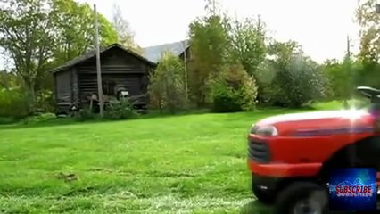 Best Funny Animals Fails __ Best Ultimate Animal Fail Compilation 2016