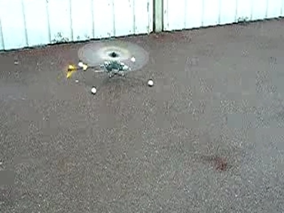 premier vol esky belt-cp