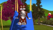 Finger Family Children Nursery Rhymes for Kindergarten Tiger Cartoons | Finger Family Rhym