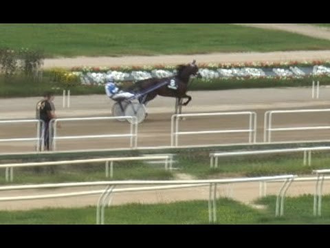 Napoli - Ippodromo Agnano, il libro bianco di Gaetano Papalia (21.12.15)