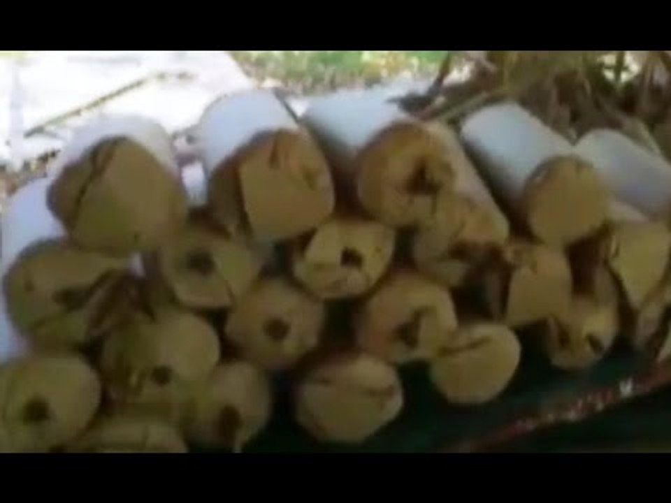 Sequestrate 2,5 tonnellate di botti illegali nel Casertano: 19 denunce (23.12.15)