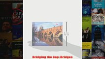 Bridging the Gap Bridges