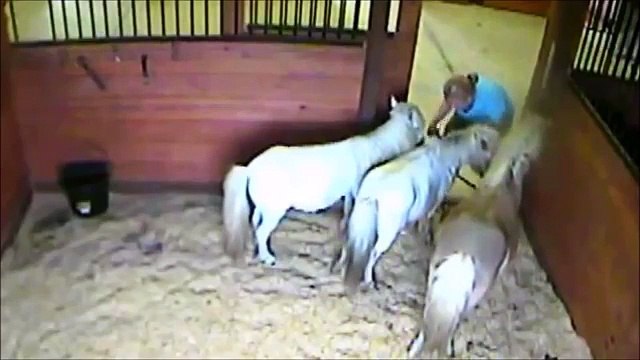 Ilginç Videolar Izle Komik Youtube 2016 (En Acayip Videolar)