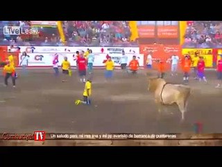 Boğa meydan okudu, ölümle burun buruna geldi