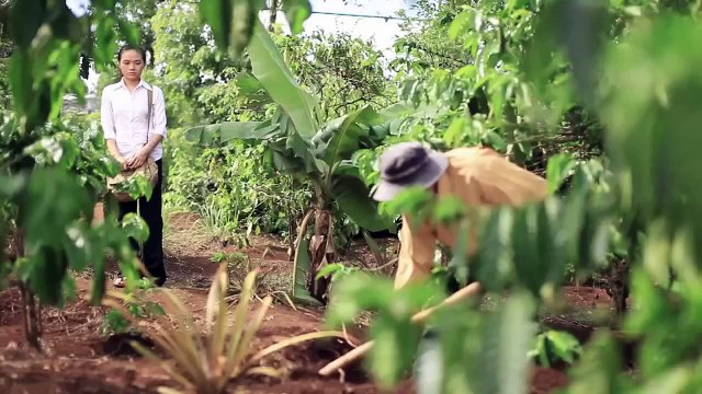 Phim Cảm Động Về Người Cha: Sau Lưng Ba Tình Cảm Rơi Nước Mắt