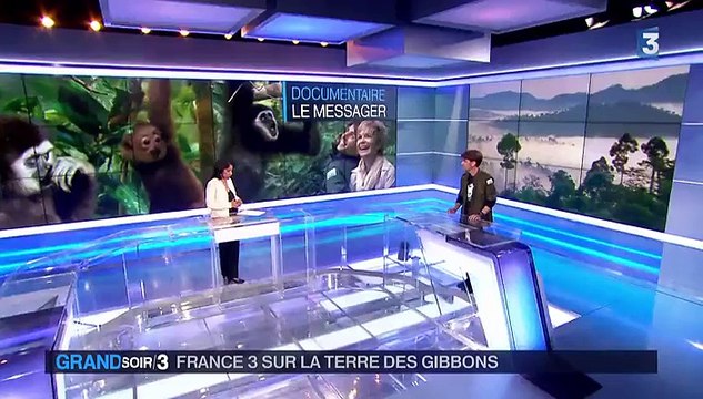 Véronique Jannot au milieu des gibbons d'Indonésie