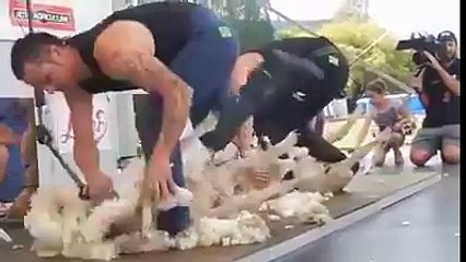 kia muqabala hy kia zberdst machine hy