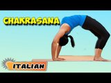 Chakrasana | Yoga per principianti | Yoga For Stress Relief & Tips | About Yoga in Italian