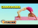 Chakrasana | Yoga per principianti | Yoga for Kids Obesity & Tips | About Yoga in Italian