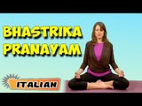Bhastrika Pranayama | Yoga per principianti | Yoga For Insomnia & Tips | About Yoga in Italian