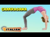 Chakrasana | Yoga per principianti | Yoga For Digestive System & Tips | About Yoga in Italian