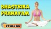 Bhastrika Pranayama | Yoga per principianti | Yoga After Pregnancy & Tips | About Yoga in Italian