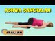 Ashwa Sanchalanasana | Yoga per principianti | Yoga For Beginners & Tips | About Yoga in Italian