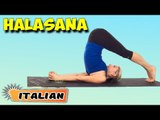 Halasana | Yoga per principianti | Yoga For Better Sex & Tips | About Yoga in Italian