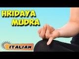 Hridaya Mudra | Yoga per principianti | Yoga Mudra for Heart Ailments | About Yoga in Italian