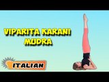 Viparita Karani Mudra | Yoga per principianti | Yoga For Better Sex & Tips | About Yoga in Italian