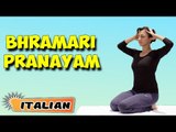 Bhramari Pranayama | Yoga per principianti | Bee Breathing Technique | About Yoga in Italian