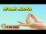 Apaan Mudra | Yoga per principianti | Hand Gesture Technique of Yoga | About Yoga in Italian