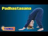 Padhastasana For Kids Growth and Height - Treatment, Tips & Cure in Tamil
