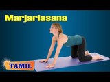 Marjariasana For Young Heart - Yoga for Spine Flexibility - Treatment, Tips & Cure in Tamil