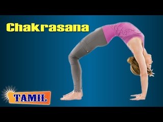 Chakrasana For Digestive System - Treatment, Tips & Cure in Tamil