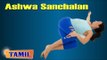 Ashwa Sanchalan During Pregnancy - Exercise for Back - Treatment, Tips & Cure in Tamil