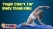 Yogic Chart For Body Cleansing - Yoga Poses, Treatment, Diet Tips & Cure in Tamil