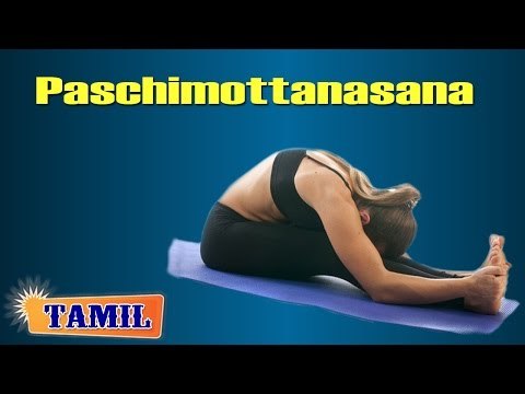 Paschimottanasana For Digestive System - Healthy Digestion - Treatment, Tips & Cure in Tamil