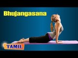 Bhujangasana For Back - Relieve Back Pain & Shoulder Pain - Treatment, Tips & Cure in Tamil