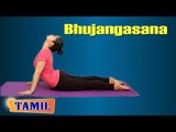 Bhujangasana For Beginners - Back Stretch, Sciatica Pain - Treatment, Tips & Cure in Tamil
