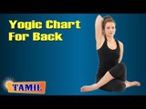 Yogic Chart For Back - Yoga Pose, Treatment, Diet Tips & Cure in Tamil