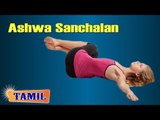 Ashwa Sanchalan For Back - Exercise For Cervical Pain - Treatment, Tips & Cure in Tamil