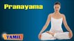 Pranayama For After Pregnancy - Breathing Exercise - Treatment, Tips & Cure in Tamil