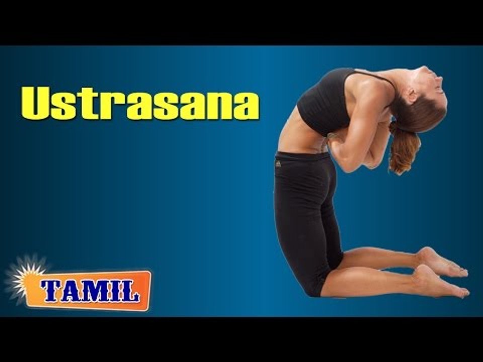 Ustrasana For Sex - Treatment, Tips & Cure in Tamil