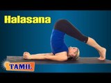 Halasana For Sex - Exercise For Healthy Sexual Life - Treatment, Tips & Cure in Tamil