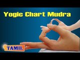 Yogic Chart Mudra - Management Of Yoga Pose With Different Mudras