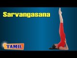 Sarvangasana For Eyes - Improve Blood Circulation - Treatment, Tips & Cure in Tamil