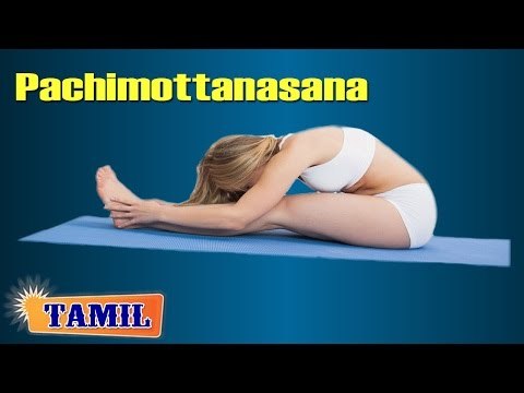 Paschimottanasana For Menstrual Disorders - Aches & Pains - Treatment, Tips & Cure in Tamil