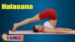 Halasana For Eye Exercise - Eyesight Restoration - Treatment, Tips & Cure in Tamil