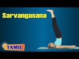 Sarvangasana For Beauty | Exercise For Skin Diseases & Hair | Treatment Tips & Cure in Tamil