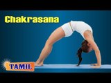 Chakrasana For Menstrual Disorders - Menstrual Problems - Treatment, Tips & Cure in Tamil