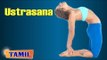 Ustrasana For Beauty - Exercise Improve Digestive System - Treatment, Tips & Cure in Tamil