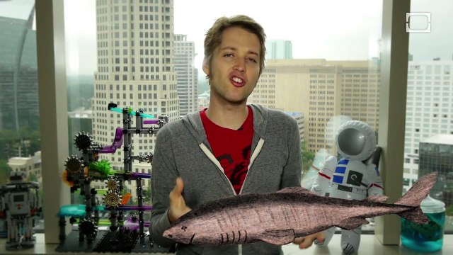 Sharks That Kill Without Jaws - Epic Science #36