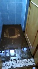 Tuvalet gideri tıkanıklığı açma