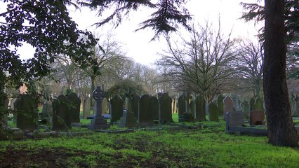 Widow robbed while cleaning husband's grave