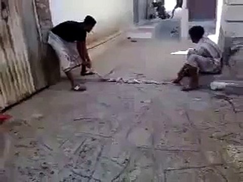 cat funny clipss FUNNY CLIPS best FUNNY CLIPS 2016 FUNNY CLIPS so funny FUNNY CLIPS latest FUNNY CLIPS very funny FUNNY