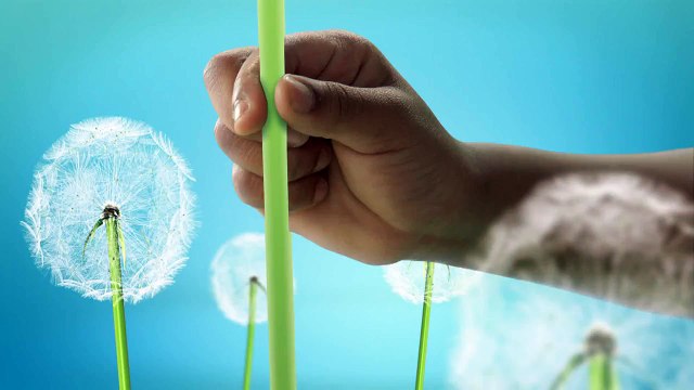 La Garde du Roi Lion : Un Nouveau Cri - Mercredi 27 janvier à 18h30 !