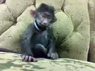 hhahahahhahaha FUNNY CLIPS best FUNNY CLIPS 2016 FUNNY CLIPS so funny FUNNY CLIPS latest FUNNY CLIPS very funny FUNNY CL